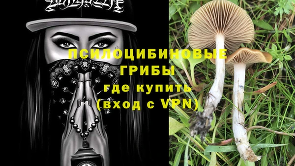 PSILOCYBIN Белоозёрский