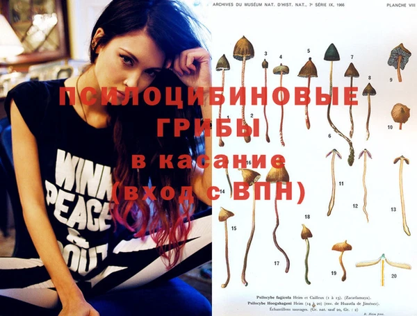 PSILOCYBIN Белоозёрский