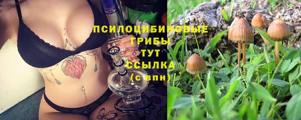 PSILOCYBIN Белоозёрский